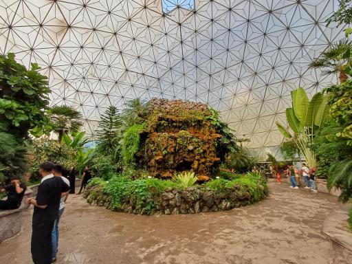 باغ گیاهان استوایی