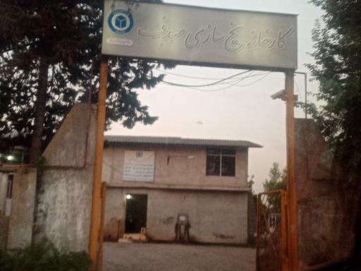 عکس کارخانه یخ صدف