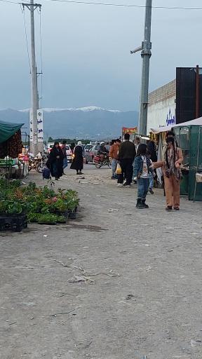 بازار هفتگی 