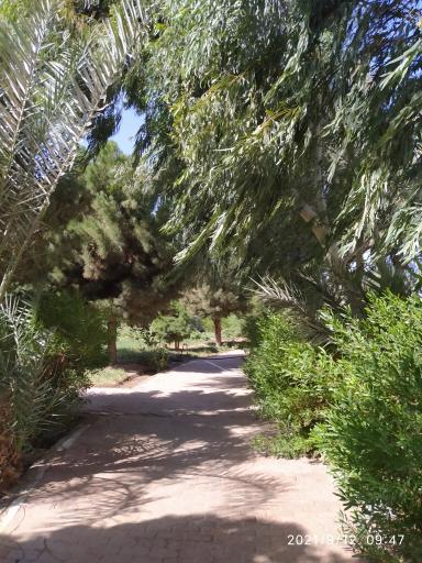 عکس بوستان پارک نیمروز