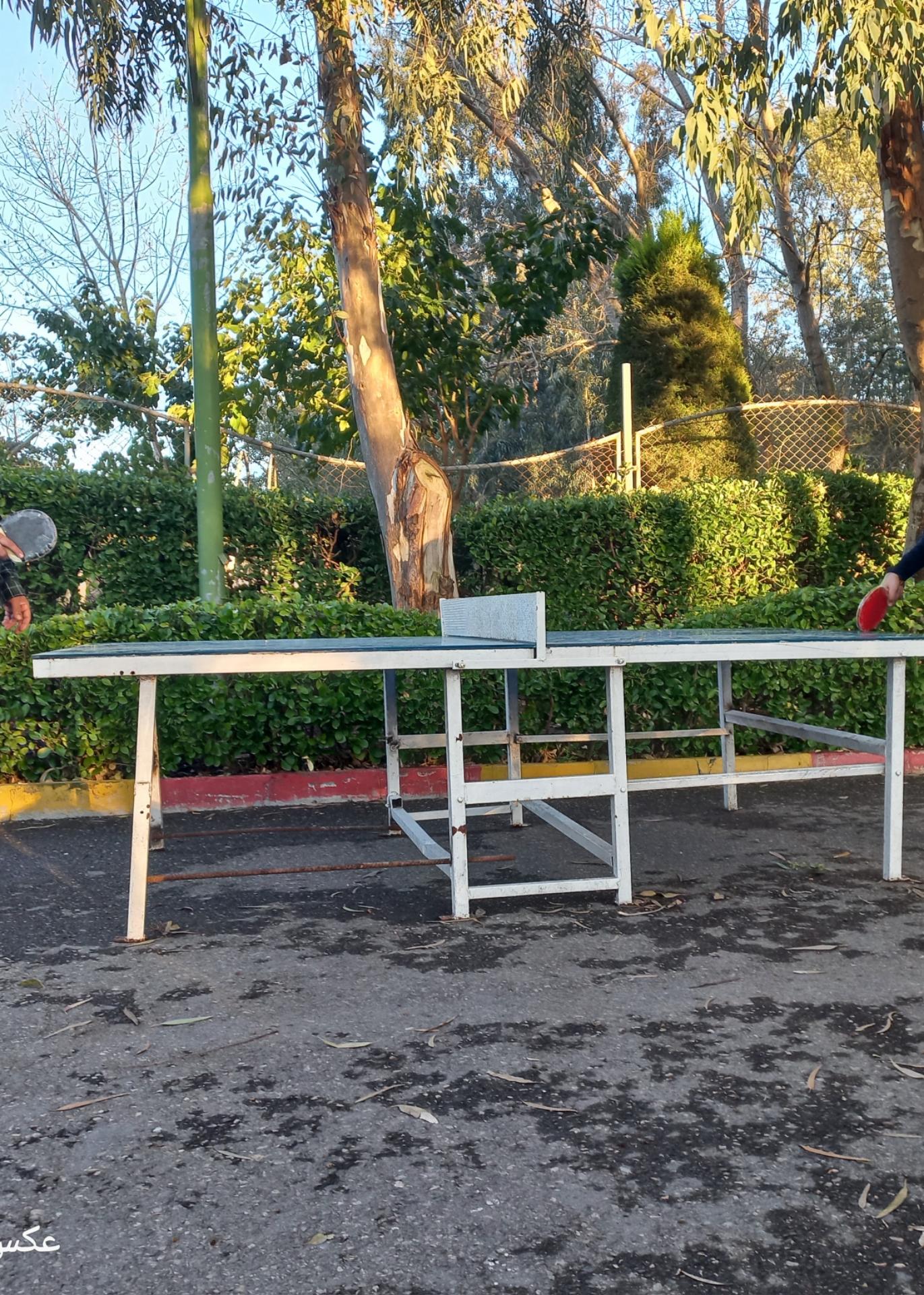 عکس میز پینگ پنگ