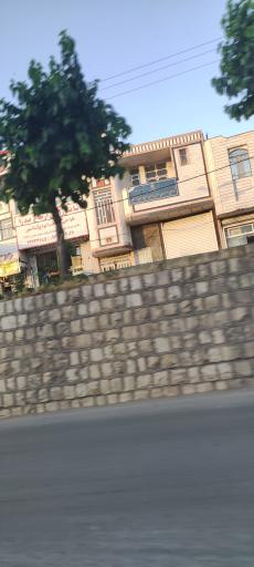 عکس شورای راهبردی