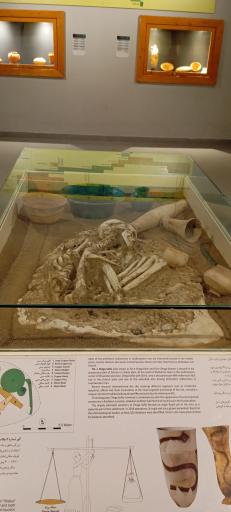 عکس موزه شوش