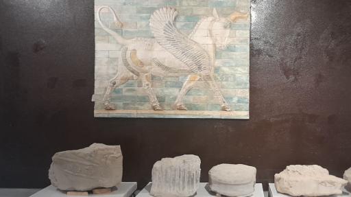 عکس موزه شوش