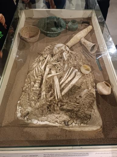 عکس موزه شوش