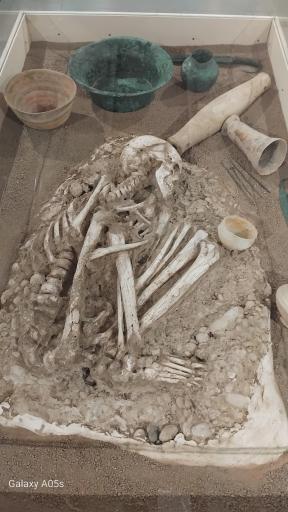 عکس موزه شوش