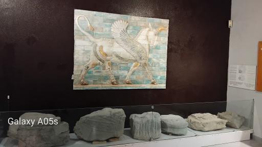 عکس موزه شوش