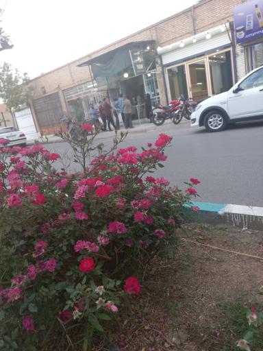 عکس نانوایی سنگک شاطرباشی
