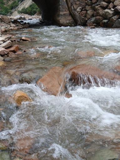 عکس رودخانه چالوس