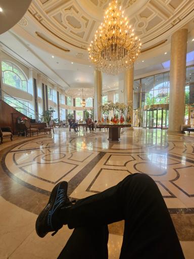 عکس هتل بزرگ ویستریا