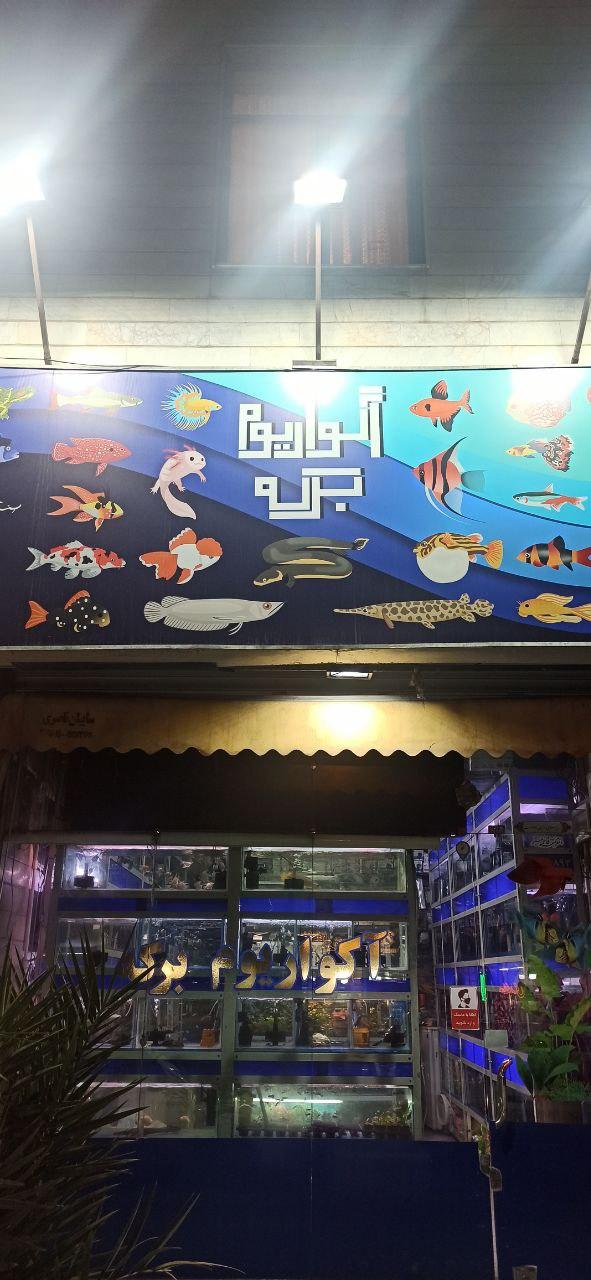 عکس آکواریوم برکه (پیروزی)