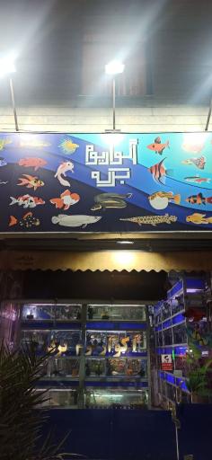 عکس آکواریوم برکه (پیروزی)