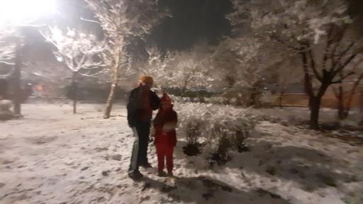 عکس پارک آزالیا