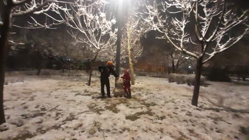 عکس پارک آزالیا