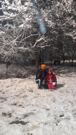 عکس پارک آزالیا