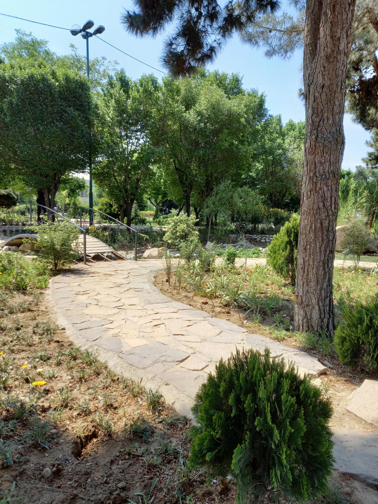 عکس پارک آزادگان