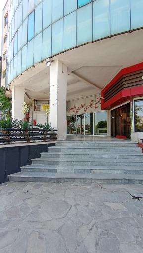 عکس غذای خونگی تیان