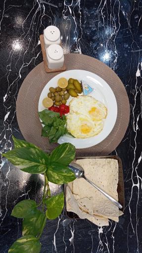 عکس غذای خونگی تیان