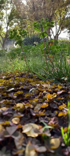 عکس پارک آزادگان