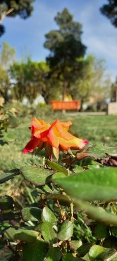 عکس پارک آزادگان