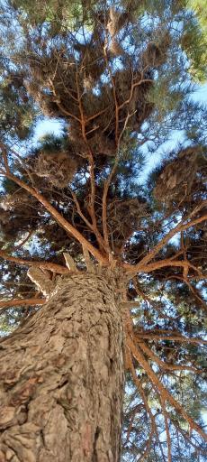 عکس پارک آزادگان