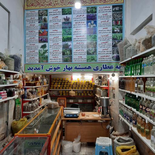 عکس عطاری همیشه بهار