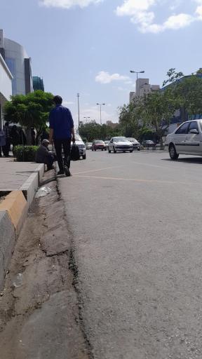 عکس  فلسطین 23