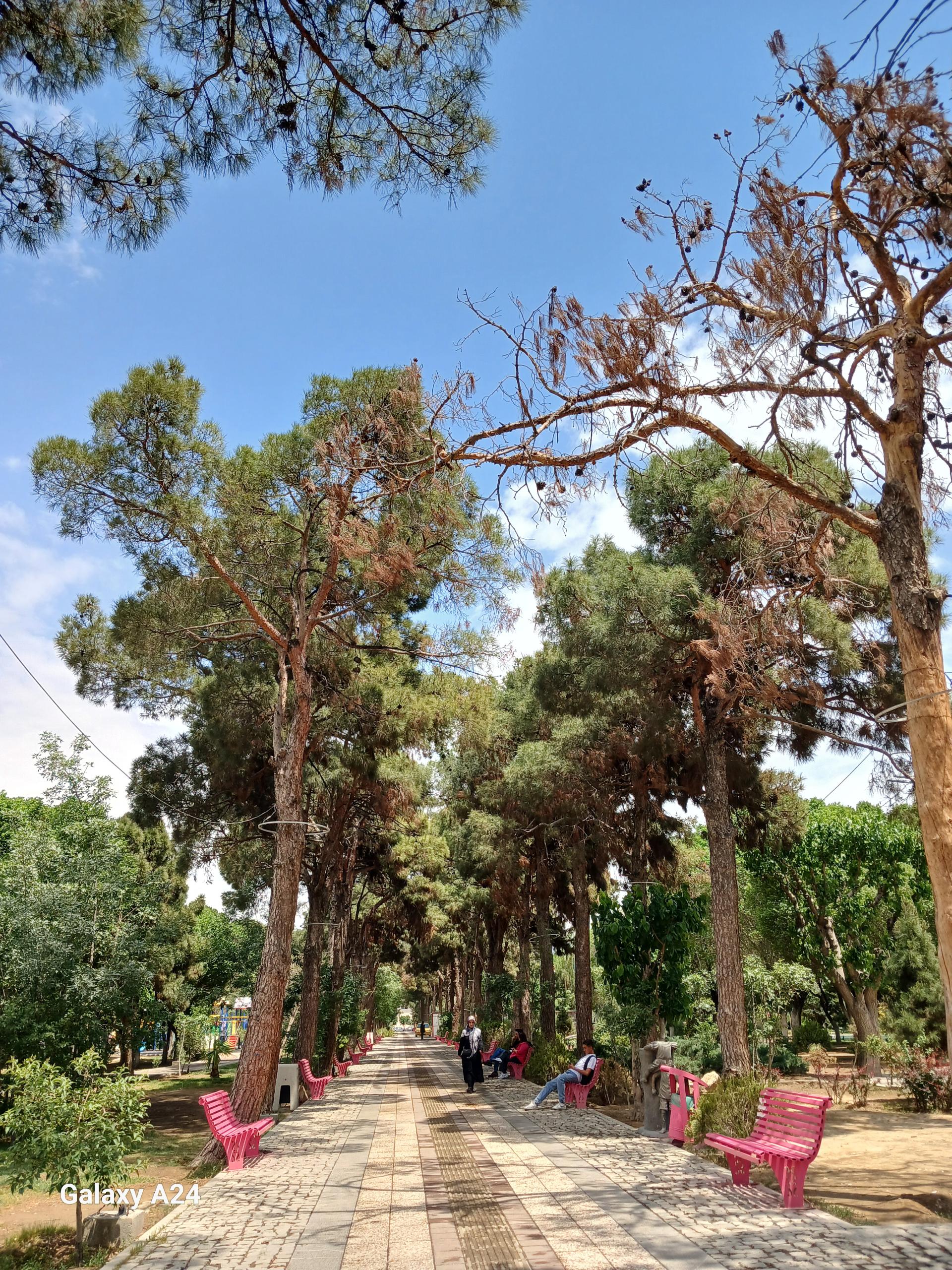 عکس پارک آزادگان