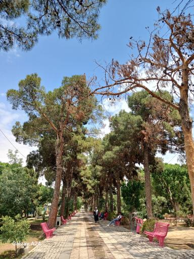 عکس پارک آزادگان