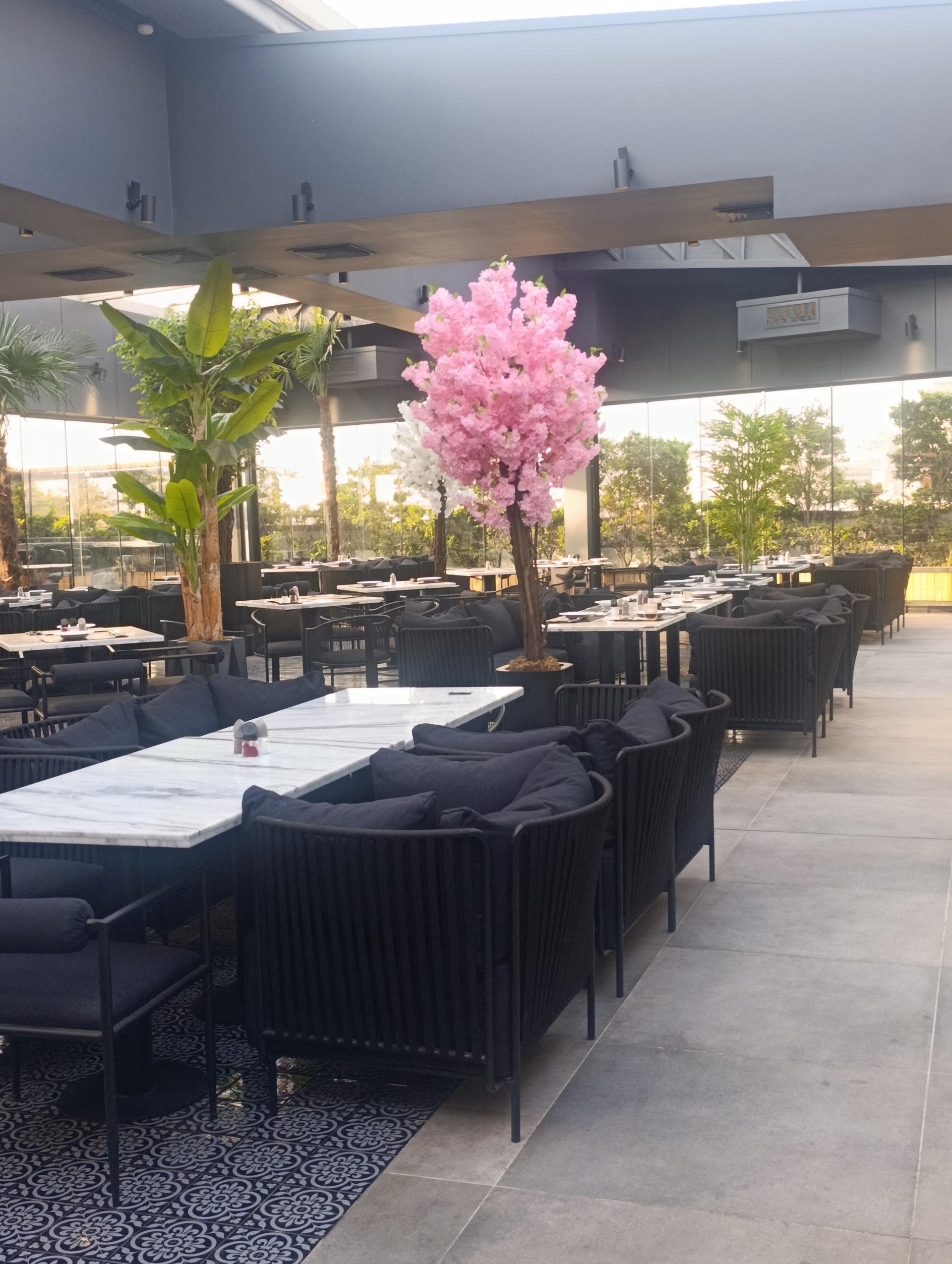 عکس کافه رستوران مجلل تک درخت