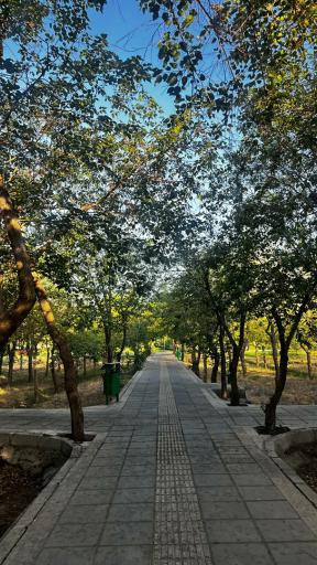 عکس پارک آزالیا