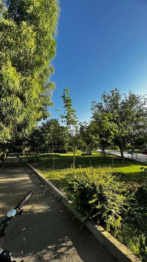 عکس پارک آزالیا