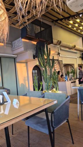 عکس لیو لانژ