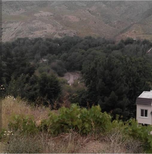 عکس کاجان