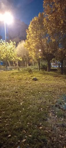 عکس پارک آزادگان