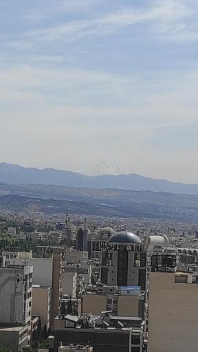 برج سرو ساعی