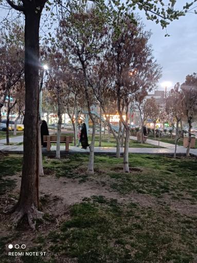 عکس پارک کمیل