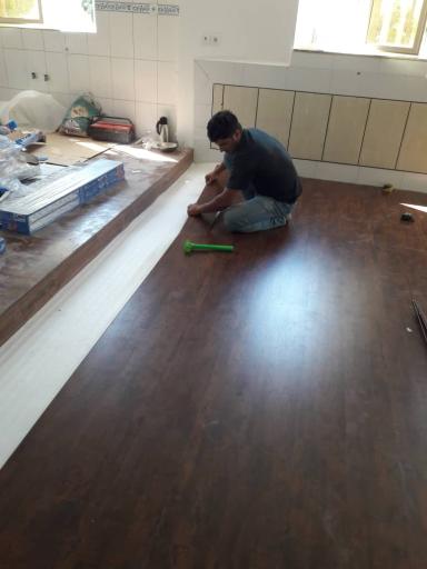 عکس داروین دکور