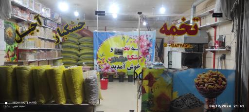 عکس تخمه داغ گروس 