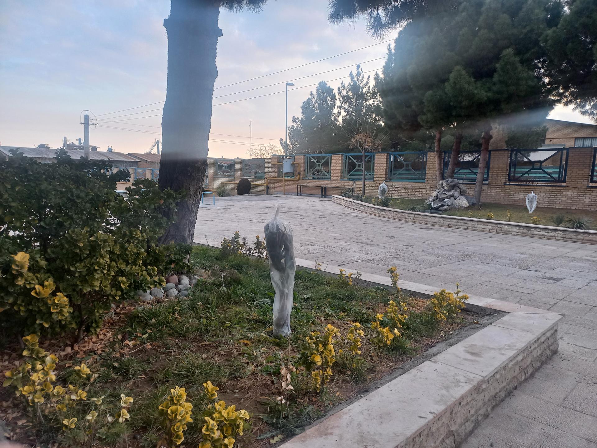 عکس شرکت ساوای