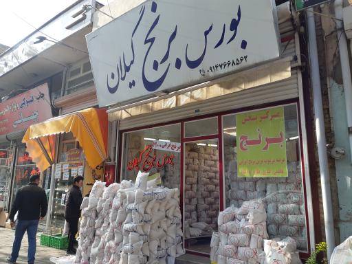 عکس بورس برنج گیلان