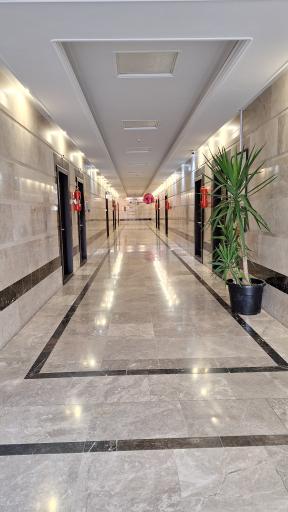 عکس طب کار پازند