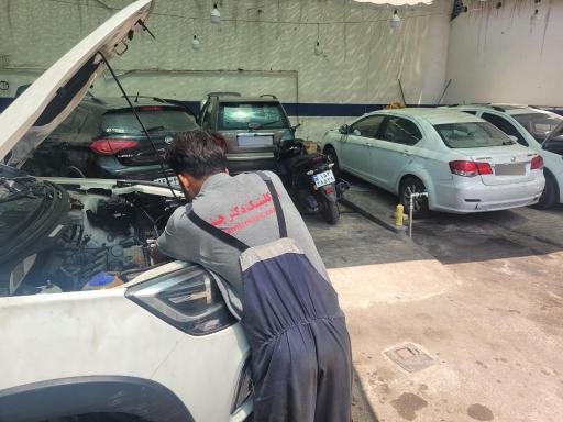 تعمیرگاه  تخصصی دکتر چینی