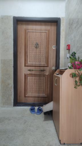 عکس درب ضدسرقت و چوبی اَژدرب 