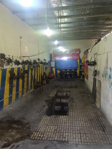 عکس جلوبندی و ترمز مجید فخرایی