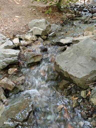 عکس دریاچه پارک جمشیدیه