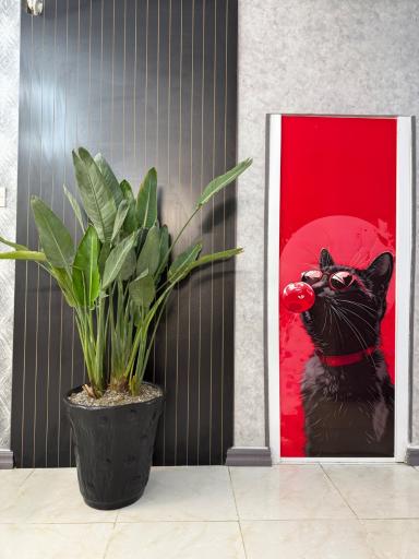 عکس کلینیک دامپزشکی ‌و پت شاپ نیک