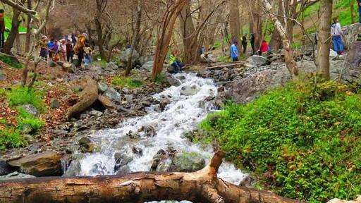 عکس دریاچه پارک جمشیدیه