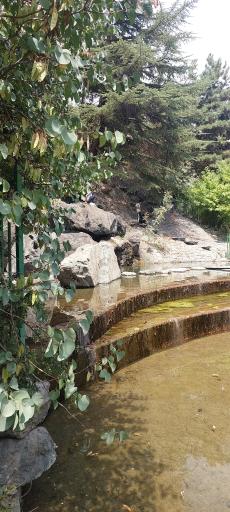 دریاچه پارک جمشیدیه