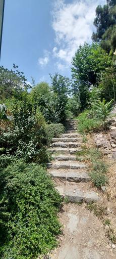 دریاچه پارک جمشیدیه